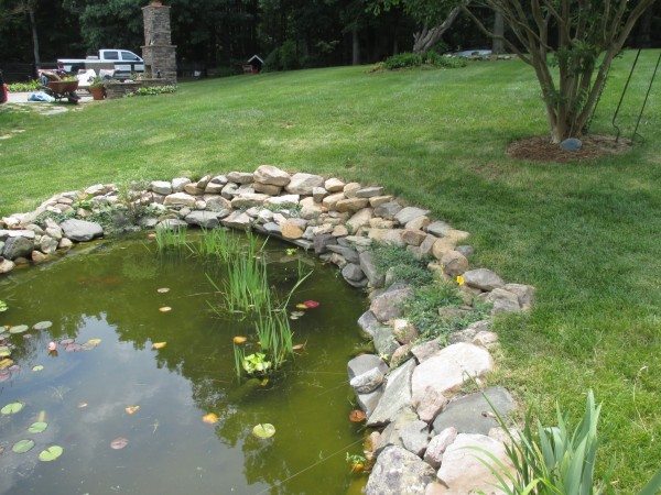 Cville Pond Repair